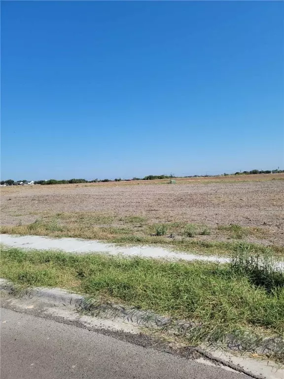 3529 Sahar Lake DR, Robstown, TX 78380