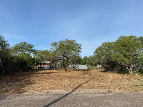 Sinton, TX 78387,TBD County Road 2665