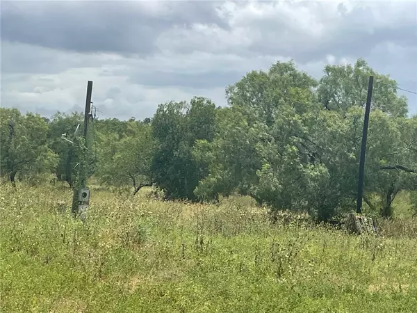 George West, TX 78071,197 Dry Fork Road