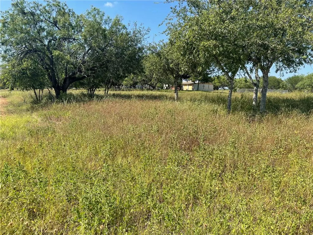 George West, TX 78071,197 Dry Fork Road