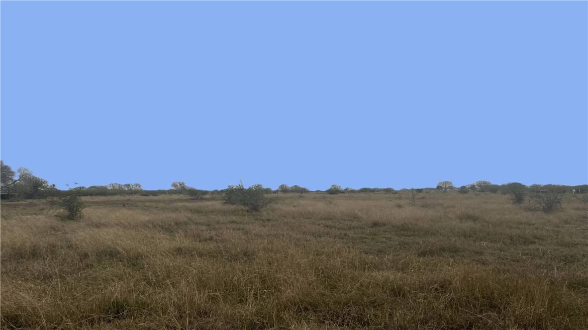Sinton, TX 78387,0 County Road 2431