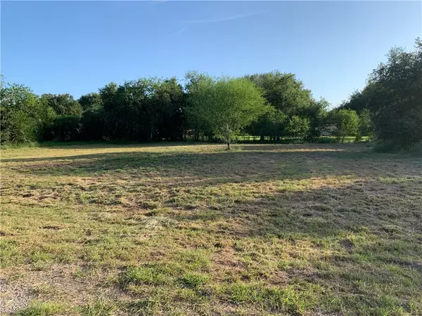 Beeville, TX 78102,Lot 2 Ala Blanca