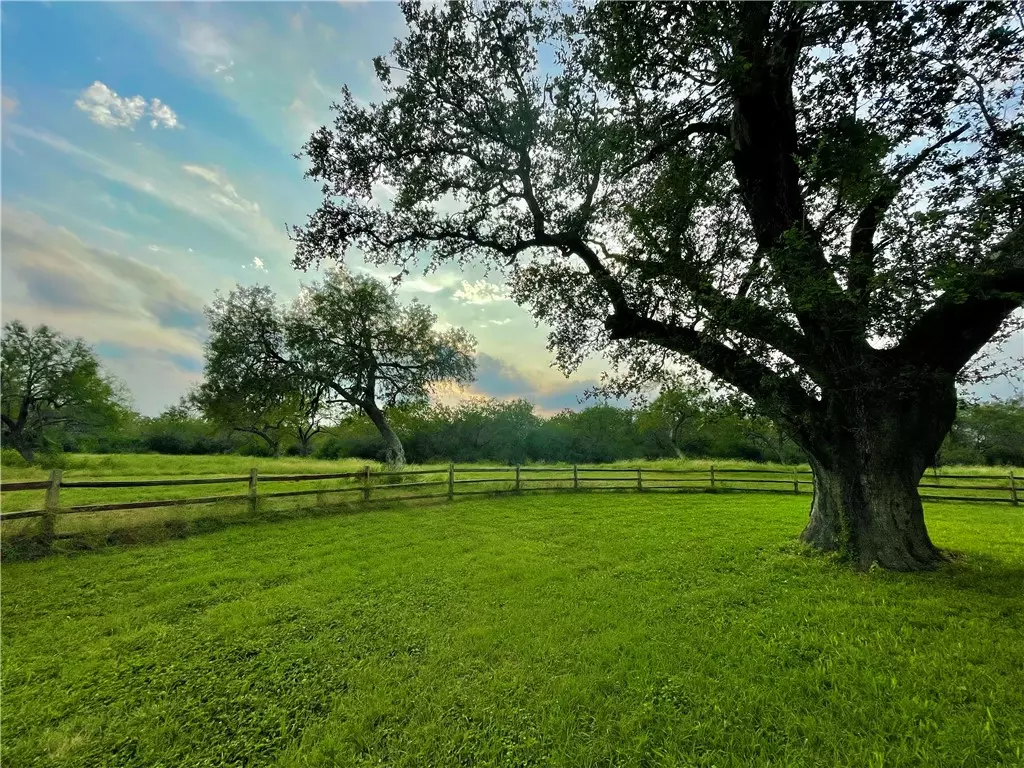 George West, TX 78022,207 County Road 325