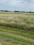 Corpus Christi, TX 78409,00 Alphine ST