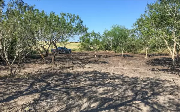 Orange Grove, TX 78372,00 Highway 359