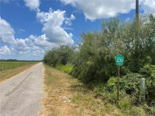 Orange Grove, TX 78372,114 County Road 230