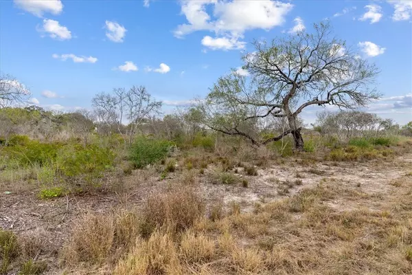 Three Rivers, TX 78071,000 Quail Ridge Run