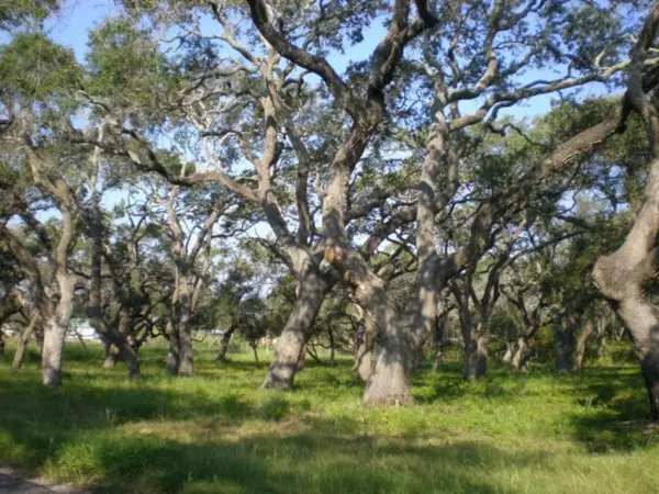147 Front ST, Rockport, TX 78382