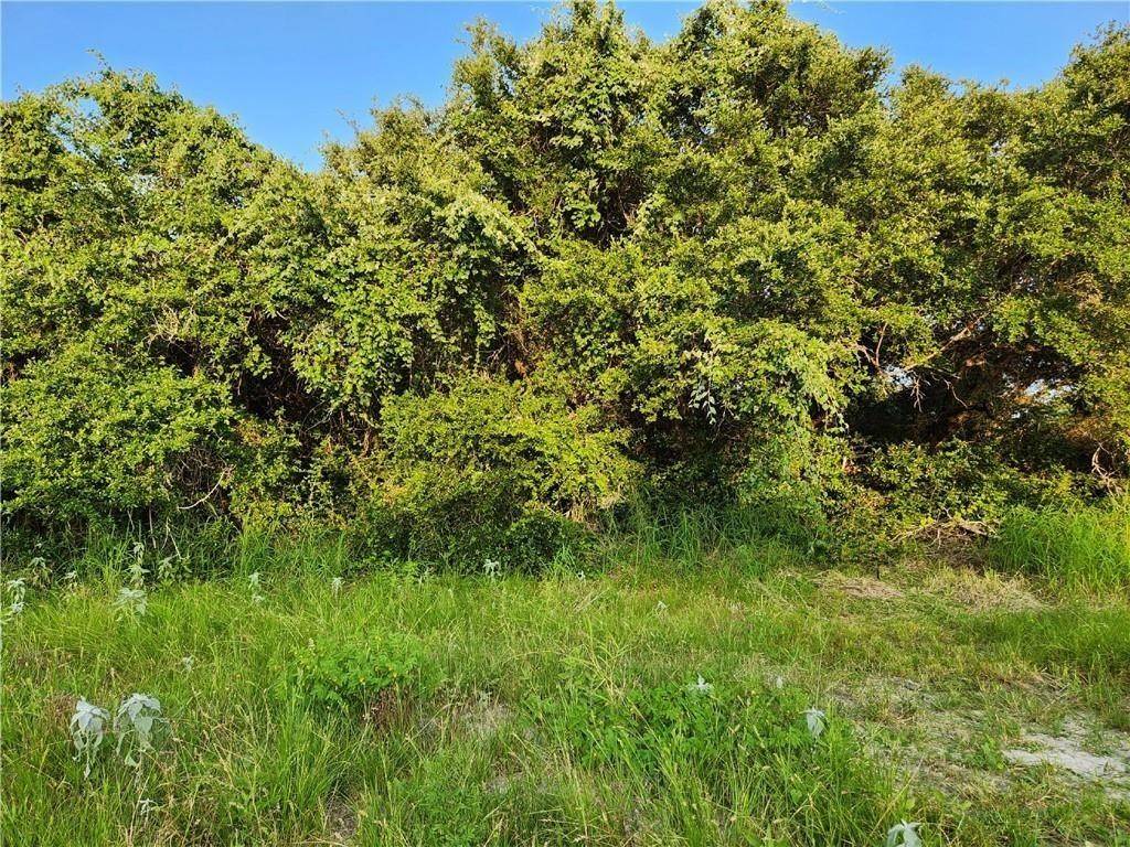 Aransas Pass, TX 78336,0 S Saunders ST
