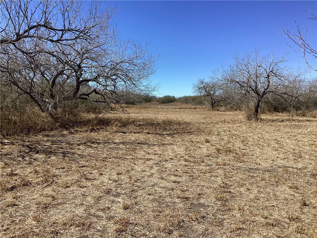 Orange Grove, TX 78372,000 CTY RD 323