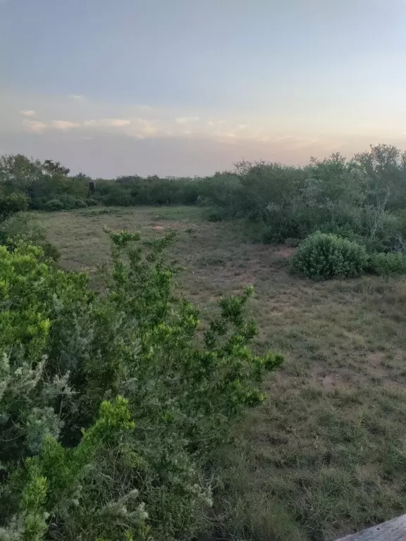 San Diego, TX 78384,1338 TX-359