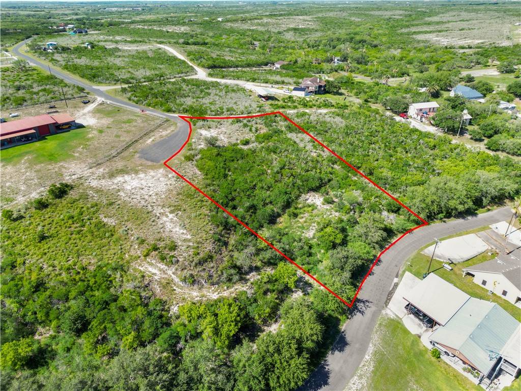 Sandia, TX 78383,00 Carmel Dr.