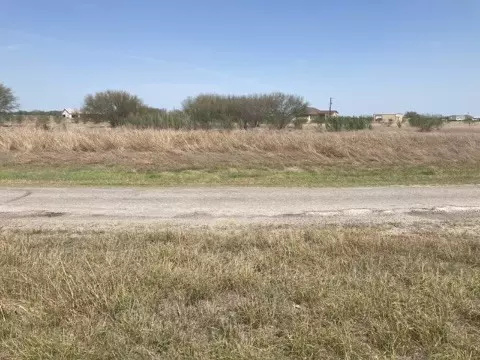 355 County Road 354, Orange Grove, TX 78372