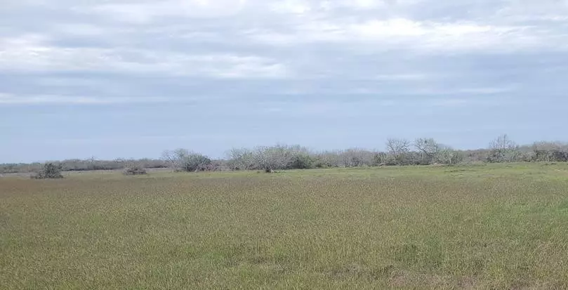 Lot 6 T-Head DR, Riviera, TX 78379