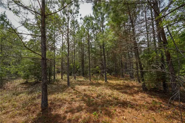 Newton, TX 75966,tbd Hwy 87 N HWY