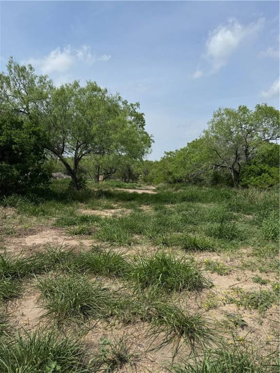 Robstown, TX 78380,5525 Ravine