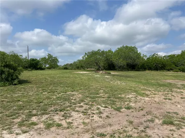 Sandia, TX 78383,00 Clearview