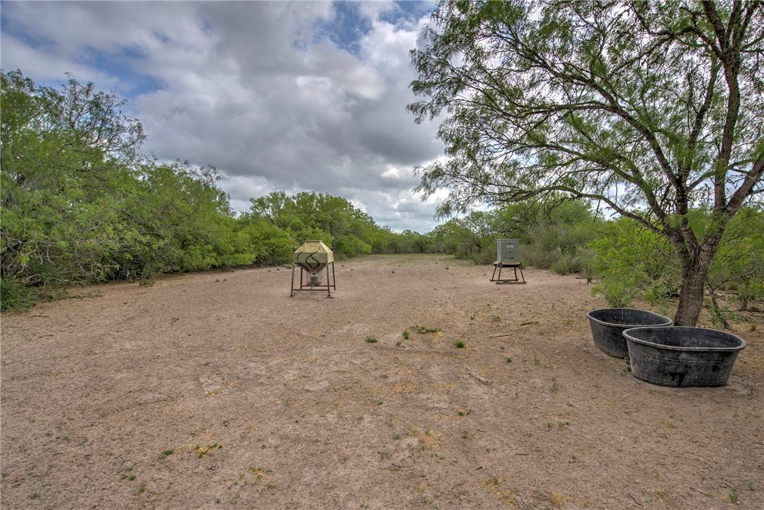 San Diego, TX 78384,00 CR 336
