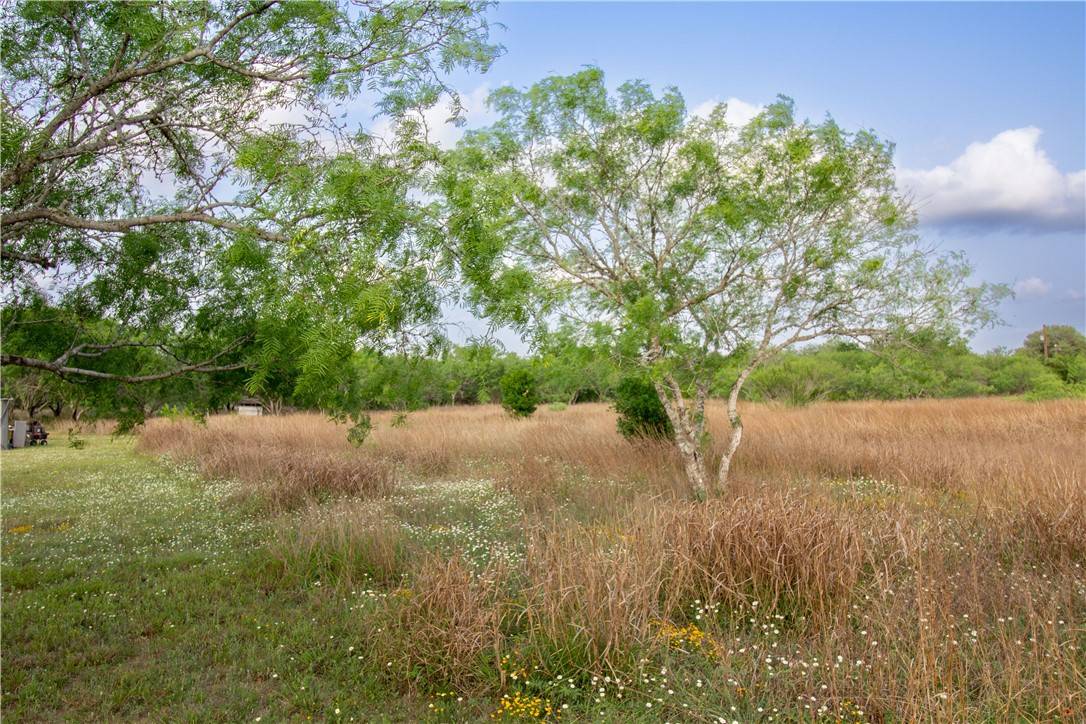 Beeville, TX 78102,3134 Highway 59 E