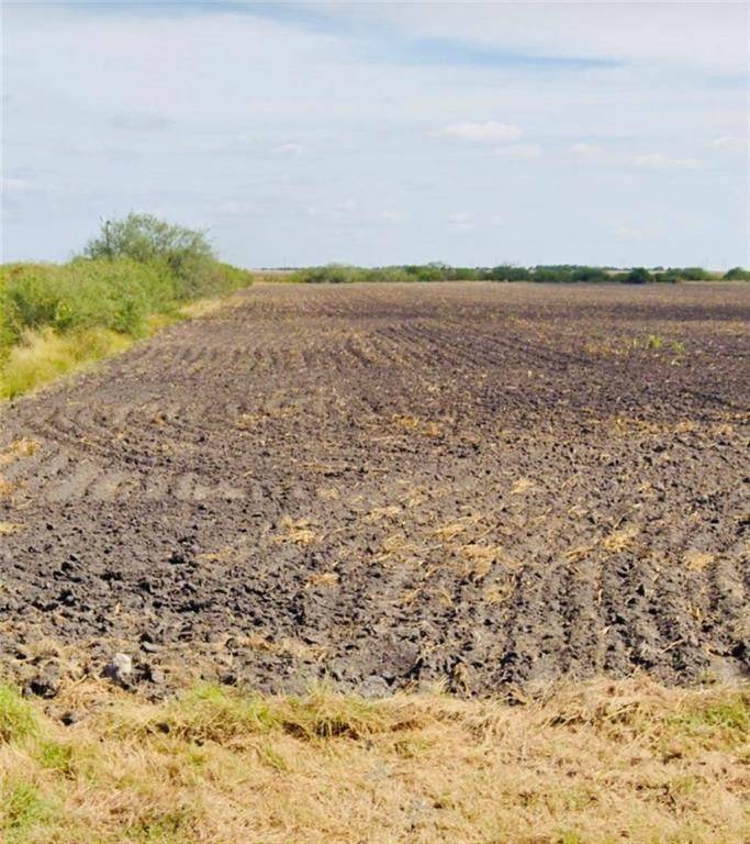 Bishop, TX 78343,20 Acres S US Highway 77