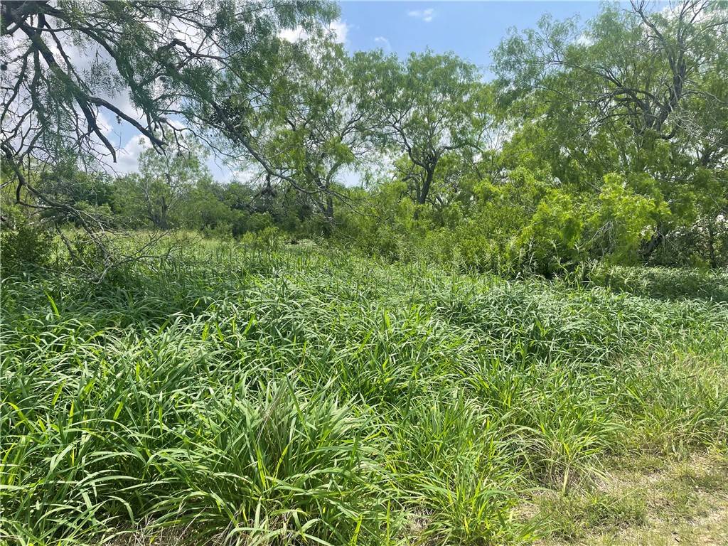Mathis, TX 78368,0 Lake Terrace DR