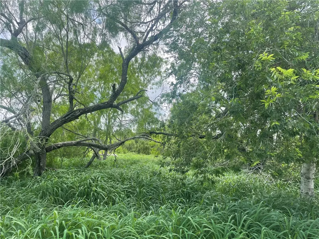 Mathis, TX 78368,0 Lake Terrace DR