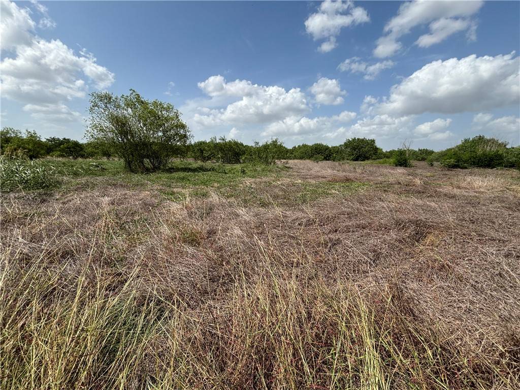 Orange Grove, TX 78372,568 Jennifer