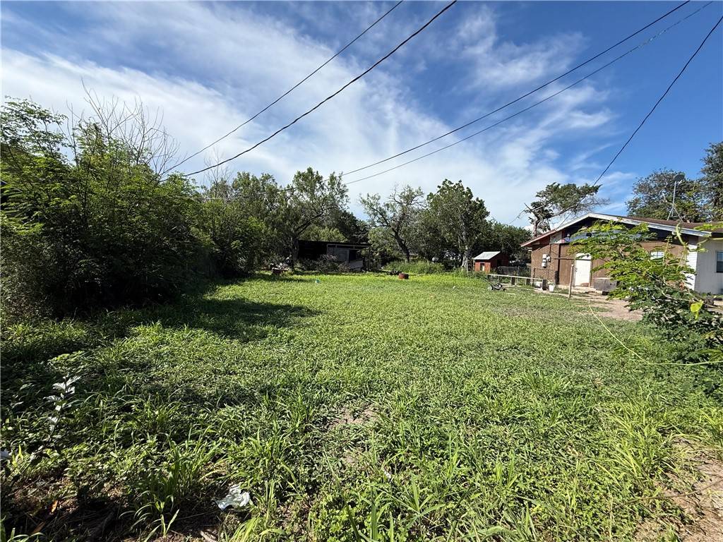 Alice, TX 78332,TBA Farm ST