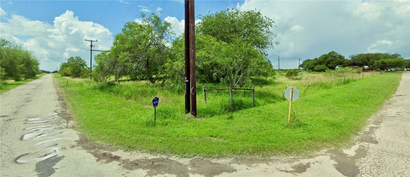 LTS 9 & 24 S Cr 430, Premont, TX 78375
