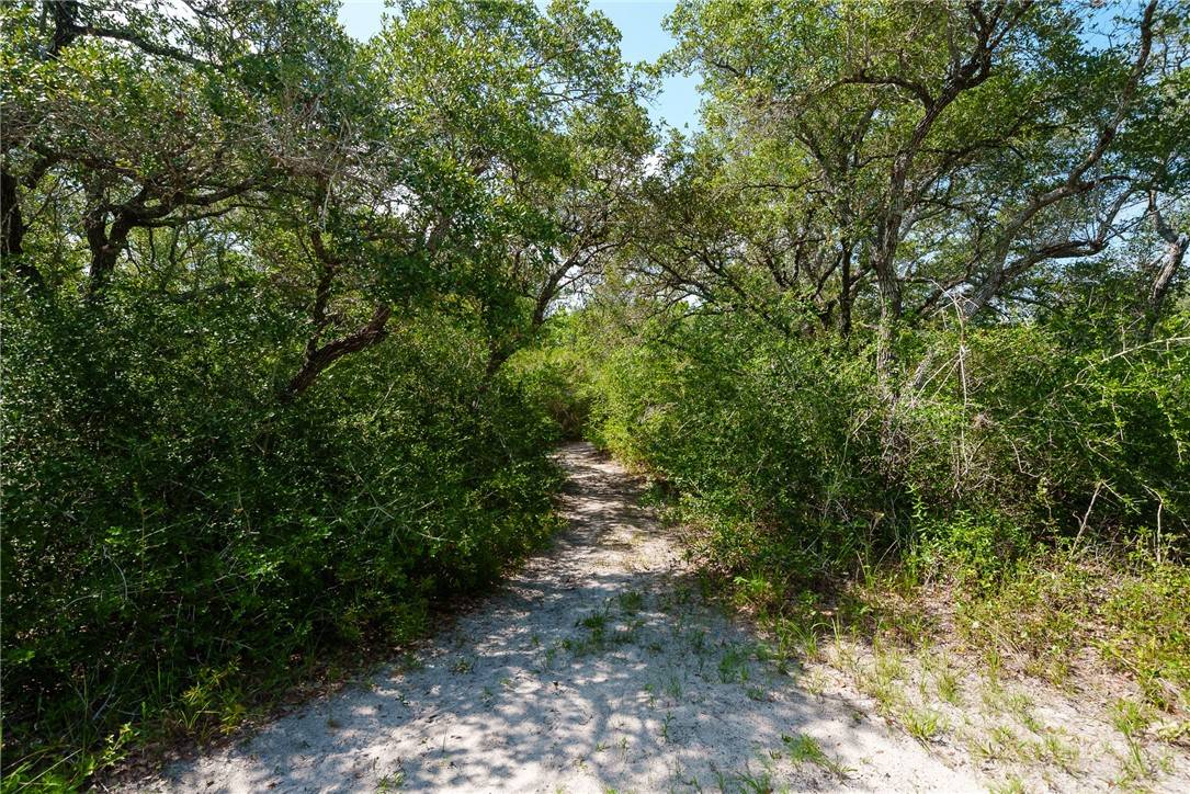 Ingleside, TX 78362,1689 Mooney LN