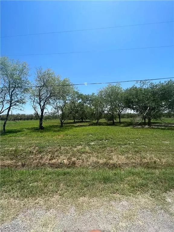 12509 CR 1272, Sinton, TX 78387