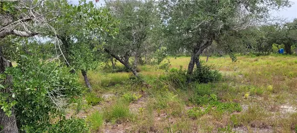 Rockport, TX 78382,1036 S Hood ST