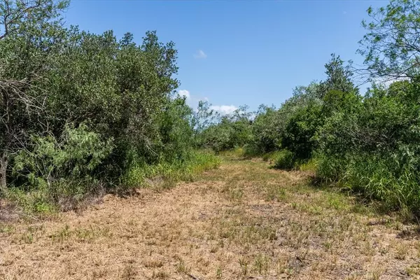 Skidmore, TX 78389,000 Off Hwy 181 S