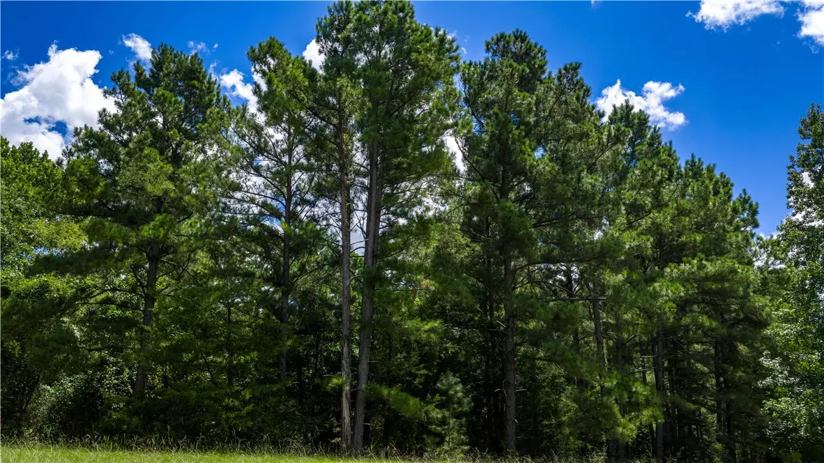 Midway, TX 75852,5756 Hamilton Hill Lane
