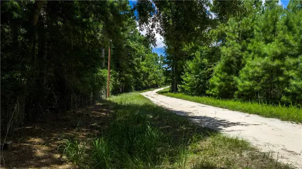 Midway, TX 75852,5688 Hamilton Hill Ln