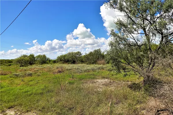 Taft, TX 78390,0000 County Road 3067 & CR 2200