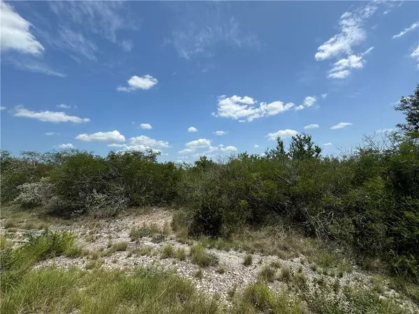 Three Rivers, TX 78071,000 Deer Run Trace