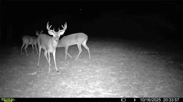 Runge, TX 78151,0 CR 107