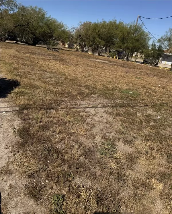 Kingsville, TX 78363,1115 S 14th ST