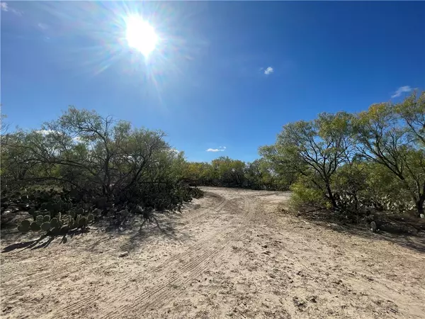 Christine, TX 78012,10 acres Cr 421