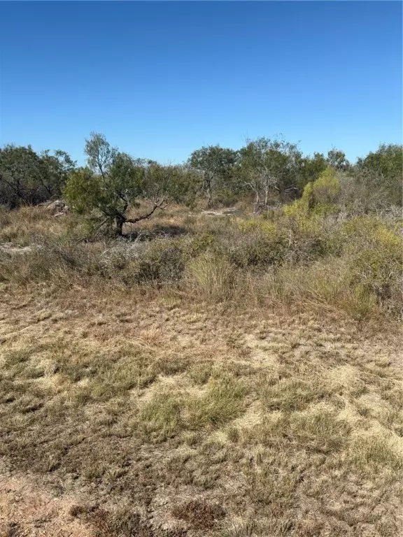 Rockport, TX 78382,538 Water Oak