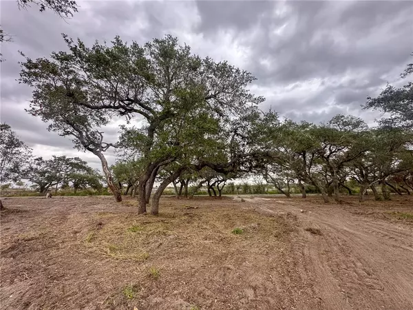 Aransas Pass, TX 78336,2555 Jocelyn Road