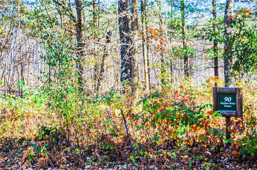 Cameron, WI 54822,Lot 98 11 1/2 AVE