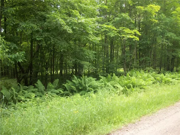 Birchwood, WI 54817,Lots 50,51,52 Woods and Allison