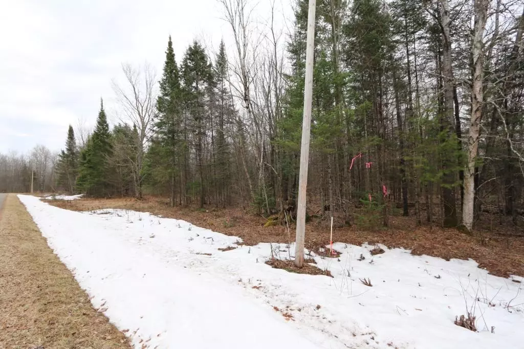 Couderay, WI 54828,Lot 2 Hofer RD