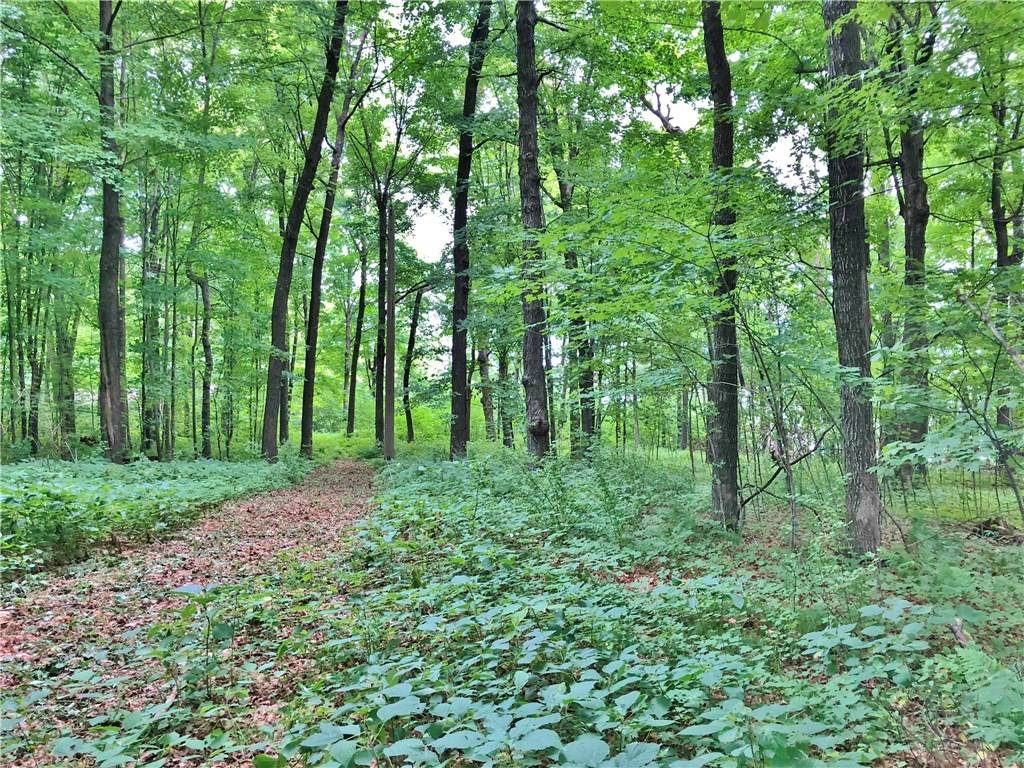 Lot 1 27 3/8 ST, Birchwood, WI 54817