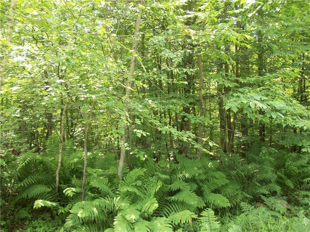 Lot #56 E Lothian CIR, Birchwood, WI 54817