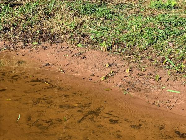 Hayward, WI 54843,Lot 1 Erickson RD