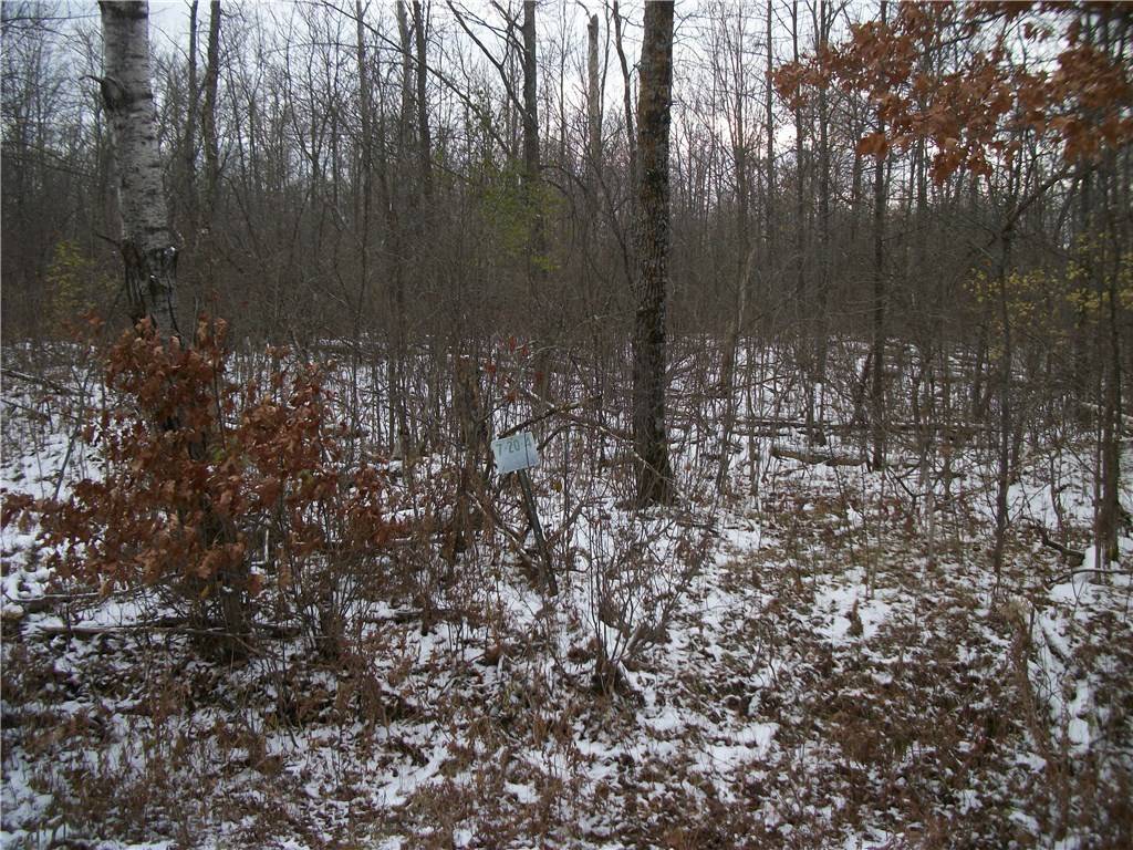 Lot #7 Tagalong/28 1/2 Ave, Birchwood, WI 54817