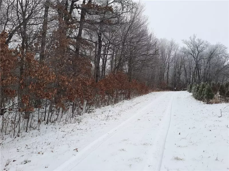 60 Acres N Casper Rd. RD, Alma Center, WI 54611